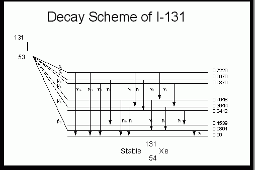 I 131 Decay Chart