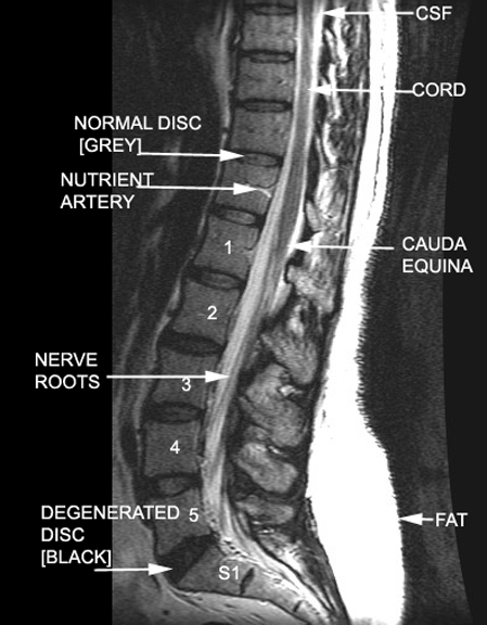 Try to identify the following