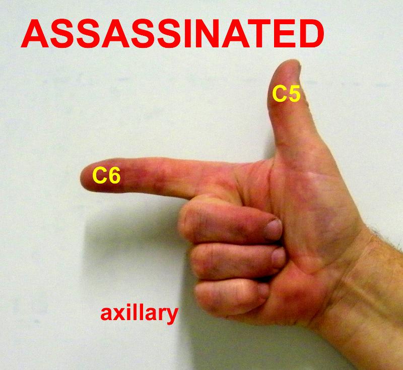 axillary.jpg