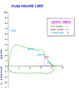 pft11a.jpg (27212 bytes)